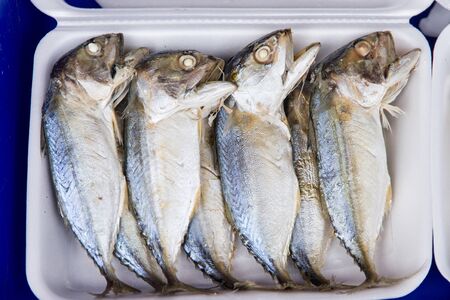 Sea fish in fresh market at ferry of Angsila, Choburi, Thailand.Sea Foodの写真素材