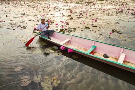 Nong Khai, Thailand - February, 28, 2016 : Unidentified name the old man paddle on lotus pond in the morning.のeditorial素材