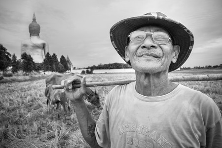 Angtong,Thailand, - July, 13, 2014 : Unidentified name old cattleman at backside Wat Muang Ang Thong, Thailand.Black and white pictureのeditorial素材