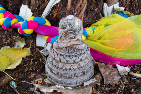 Buddha statues damaged headless under the big treesの写真素材