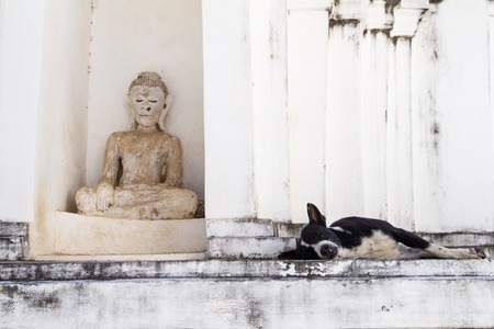 Dog on white pagoda in temple, Thailand.の写真素材