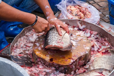 Uthai Thani, Thailand - December, 17, 2016 : Unidentified Fishmonger fresh is cleaning fish for customer on street market in the morning at Uthai Thani, Thailand.のeditorial素材