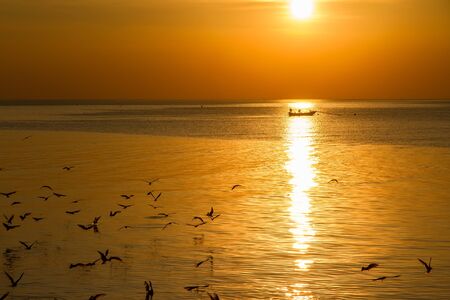 Seagull bird with amazing colorful sky and sea on twilight sunset time seascape.Nature background.の写真素材