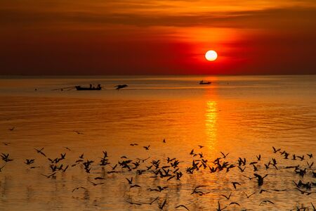 Seagull bird with amazing colorful sky and sea on twilight sunset time seascape.Nature background.の写真素材