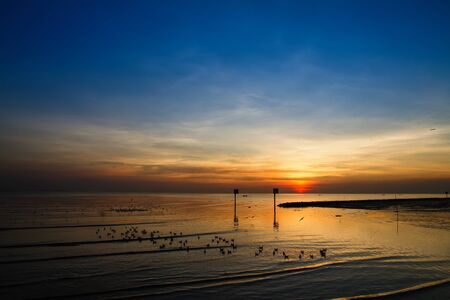 Seagull bird with amazing colorful sky and sea on twilight sunset time seascape.Nature background.の写真素材