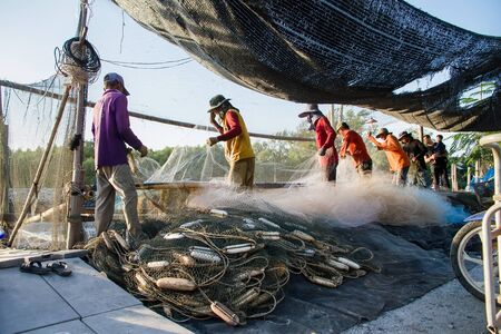 Samut Prakan, Thailand - December, 24, 2016 : Unidentified Fishermen collect the nets after the boat to shore at Khlong Ta Kok Bang Pu Samut Prakan, Thailandのeditorial素材