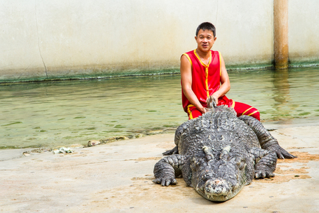 Samut Prakan, Thailand - January, 04, 2017 : Show the risk of death Crocodile show at crocodile farm in Samut Prakan, Thailand.This exciting show is very famous among among tourist and Thai people.のeditorial素材