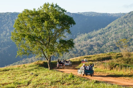 Phetchabun, Thailand - January, 21, 2017 : Tourists passenger pickup car come to see flowers in the morning at Phu Lom Lo, Phu Hin Rong Kla National Park, Phetchabun, Thailand.のeditorial素材
