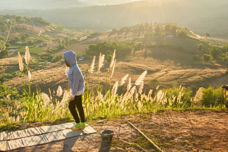 Phetchabun, Thailand - January, 22, 2017 : Tourist Camping on the hill with sunshine in the sunrise at Takhian Ngoa Mountain Phetchabun, Thailand.Natural summer landscape.のeditorial素材