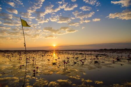Fantastic landscape, multicolor sky over the lake. majestic sunrise. use as background. color in nature. beautiful in nature. series with many color variations.The reflection of the sky in waterの写真素材