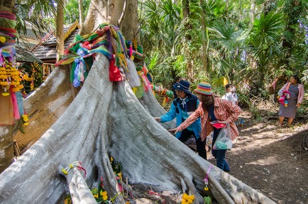 Udon Thani, Thailand - February, 05, 2017 : Unidentified name People look for the roots of the tree...
