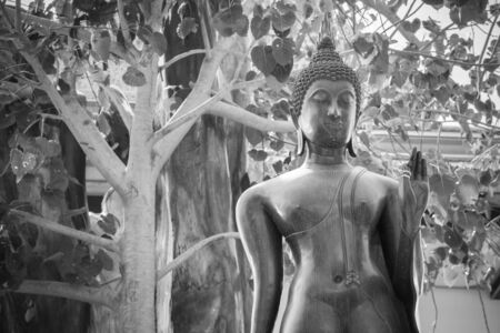Ayutthaya, Thailand - March, 11, 2017 : Black buddha statue in Wat cheing len temple Thailand, black and white pictureのeditorial素材