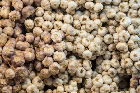 Close up of garlic in market at Bangkok, Thailandの写真素材