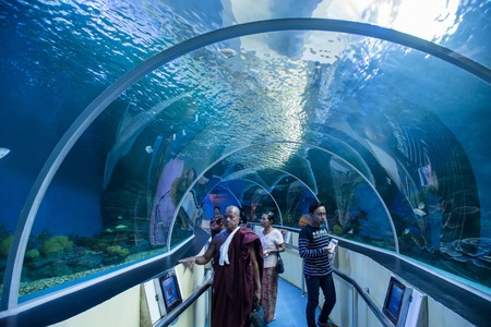 Prachuap Khiri Khan, Thailand - April, 18, 2017 : Under water glass tunnel in the aquarium at Waghor Aquarium Thongchai Sub district, Bangsapan District, Prachuap Khiri Khan, Thailandのeditorial素材