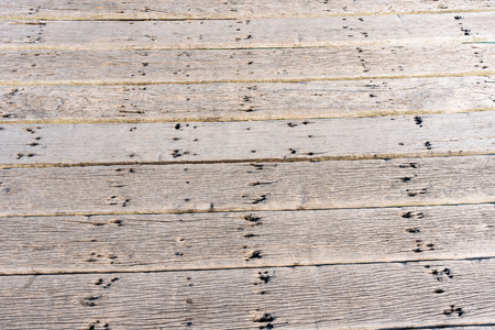 Old backgrounds and texture of wooden bridgeの写真素材