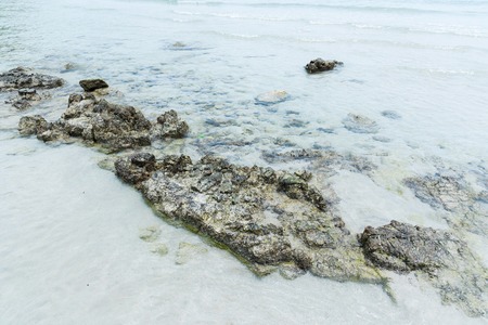 The Rocks in the seaの写真素材
