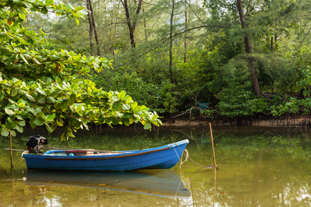 The small blue boat parked in a small canal at the mangrove forest.Thailandの写真素材