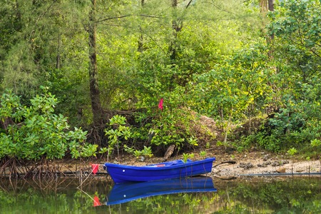 The small blue boat parked in a small canal at the mangrove forest.Thailandの写真素材
