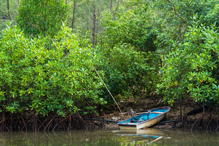 The small blue boat parked in a small canal at the mangrove forest.Thailandの写真素材