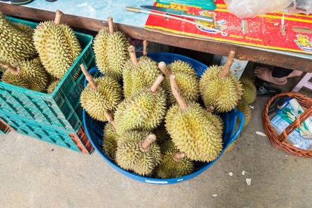 Bangkok, Thailand - June, 11, 2017 : Durian in the bucket inTaling Chan Floating Markett at Bangkok, Thailand.のeditorial素材