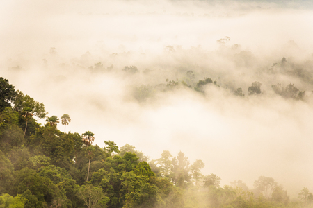 Landscape misty,Fantastic dreamy sunrise on the mountains, Mountain with mist cloud at Khao Kho Phetchabun Thailand.の写真素材