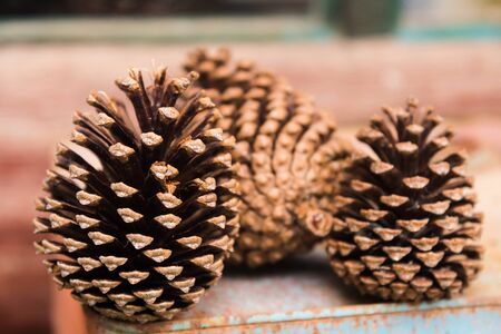 Pine cones for decoration on Rustic Wood Backgroundの写真素材