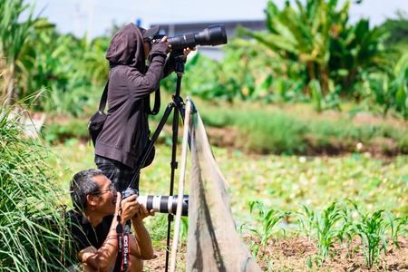 Ratchaburi, Thailand - July, 23, 2017 : Unidentified name Bird photographer take photo with telephoto lens photograph at the wild in Ratchaburi, Thailandのeditorial素材