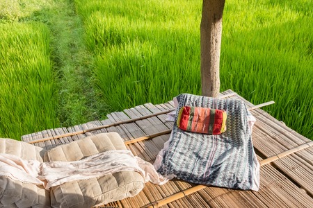 Coffee Shop in rice paddy field in Nan Province, Thailandの写真素材