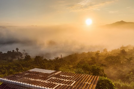 Landscape of misty mountains at the sunrise in Phayao province, Phu Lanka mountain hills, North of Thailand.の写真素材