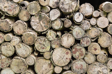 Stacked logs wood for fireplace