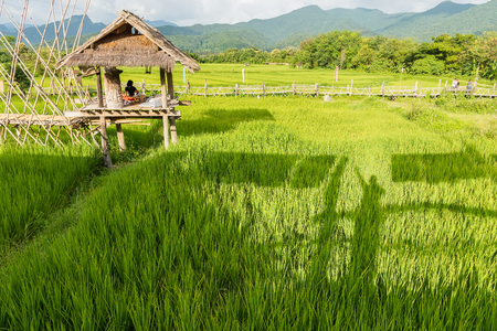 Nan, Thailand - September, 24, 2017 : Coffee Shop in paddy field nameのeditorial素材