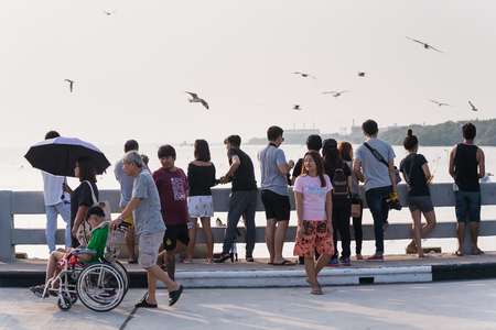 Samutprakan, Thailand - October, 29, 2017 : Unidentified name Tourists and visitors enjoy watching feeding and taking a photo of seagull birds on the bridge at Bangpoo in Samutprakan, Thailand.のeditorial素材