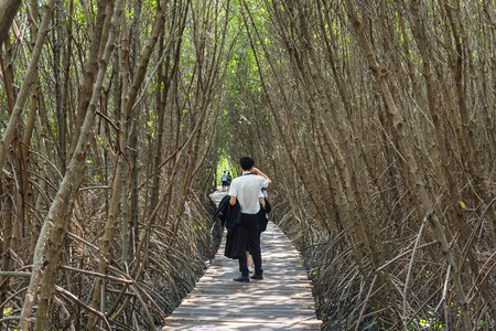 Samut Songkhram, Thailand - November, 26, 2017 : Unidentified name Visitors to nature walking on a wooden bridge in mangrove forest at samut songkhram, Thailandのeditorial素材