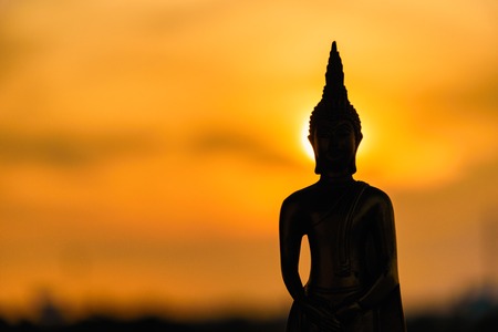 Arrayの写真素材