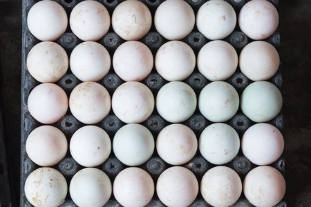 Fresh eggs stall in the fresh Marketの写真素材