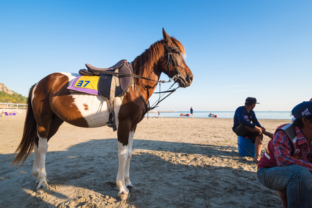 Prachuab Khirikhan, Thailand - December, 23, 2017 : Unidentified name people and a horse at Khao Takiab beach of Thailand.のeditorial素材