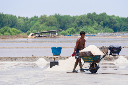 Samutsakhon,Thailand - March, 24, 2018 : Unidentified name workers picking up, collecting the salt, in big salt fields, manual labour, organic agriculture, very hard job at Samutsakhon,Thailandのeditorial素材