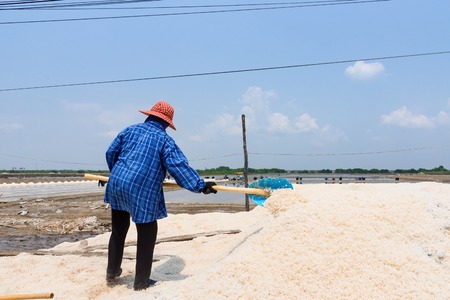 Samutsakhon,Thailand - March, 24, 2018 : Unidentified name workers picking up, collecting the salt, in big salt fields, manual labour, organic agriculture, very hard job at Samutsakhon,Thailandのeditorial素材
