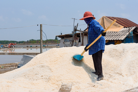 Samutsakhon,Thailand - March, 24, 2018 : Unidentified name workers picking up, collecting the salt, in big salt fields, manual labour, organic agriculture, very hard job at Samutsakhon,Thailandのeditorial素材