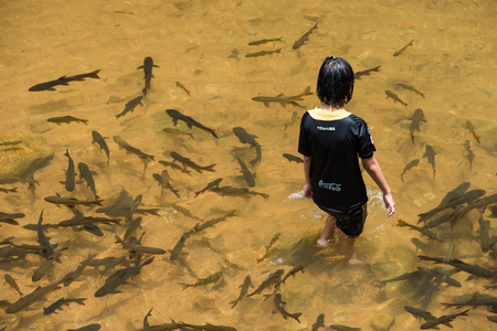 Chanthaburi, Thailand - April, 27, 2018 : Unidentified name people visitors come to play water at Chanthaburi Waterfall National Park(Pliw waterfall) Chantaburi province, Thailandのeditorial素材