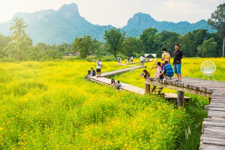 Lop Buri, Thailand - April, 29, 2018 : Unidentified name tourists visit the Kosmos yellow flowers...