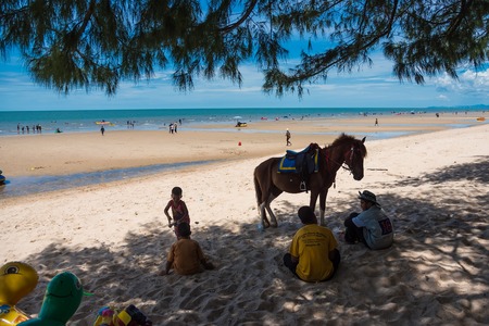 Prachuap Khiri Khan,Thailand - June, 03, 2018 : Unidentified name Boy horse owners for rent sitting in the shade of a tree on the beach at Hua Hin beach Prachuab Khirikhan, Thailandのeditorial素材