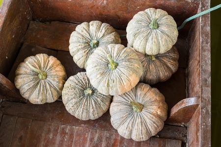 Pumpkin on a Rowing Boat at Khlong Lat Mayom Floating Market Bangkok, Thailand