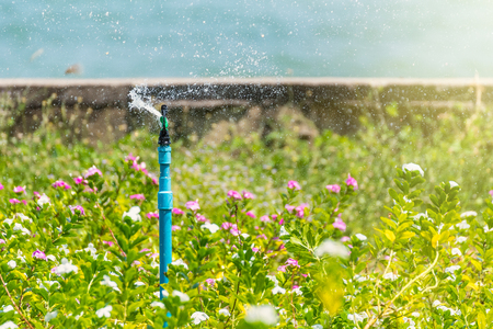 Automatic sprinkler system watering the lawn on a background of flower  field.Thailandの写真素材