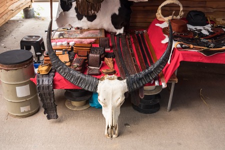 Buffalo skull in a leather shop.Thailandの写真素材