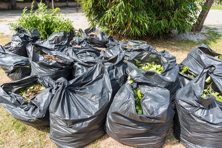 Full black garbage bags with autumn leaves on the ground in the city park, blurred background. Seasonal cleaning of foliage.Thailandの写真素材