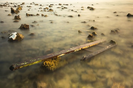 Wood waste on the rocky beach in a sunset sky.Thailand
