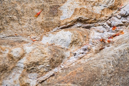 Details of sand stone texture.Thailandの写真素材