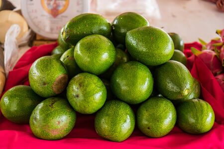 Group of fresh ripe and unripe avocados in the market.Thailand