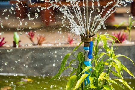 Iron fountain head in the gardenの写真素材